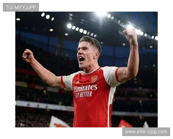 阿森纳主场轻取桑德兰 攻防均衡展现冠军相